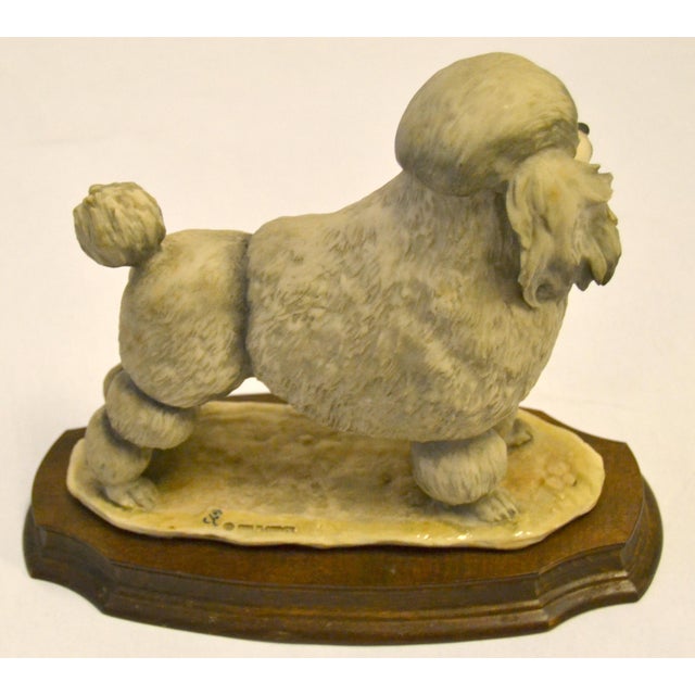 1980 Marked Giuseppe Armani Florence Poodle Animal Figurine Dog Sculpture Italy For Sale In Miami - Image 6 of 13