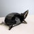 Glass Turtle from Seguso For Sale - Image 4 of 7