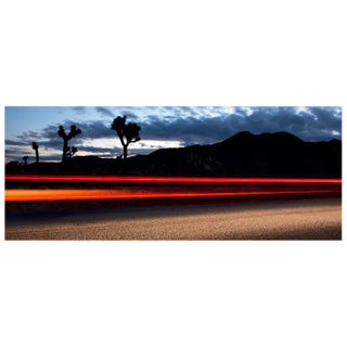 Nicola Majocchi "Joshua Tree 2013" Photograph on Metallic Paper For Sale