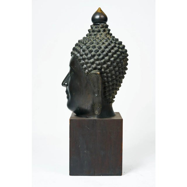 Chinese Monumental Antique Thai Buddha Head Circa Late 19th C For Sale - Image 3 of 6