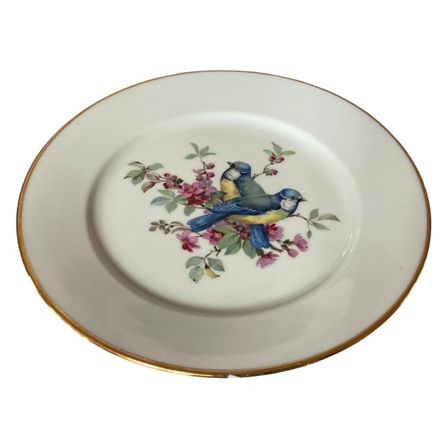 Mid 20th Century Porcelain Song Bird Plates JKW Western Germany, Set of 6 For Sale - Image 16 of 18