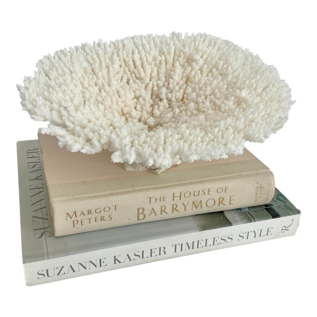 This natural bright white Table coral has a cut and polished base to allow for display and protect surfaces. Each piece is...
