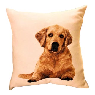 Country by Pierre D'Argent: The Golden Retreiver For Sale