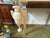 Wood 18th Century Neapolitan Console Table For Sale - Image 7 of 15