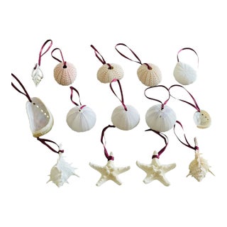 Vintage Boho Coastal Ornaments Sea Shells -14 For Sale