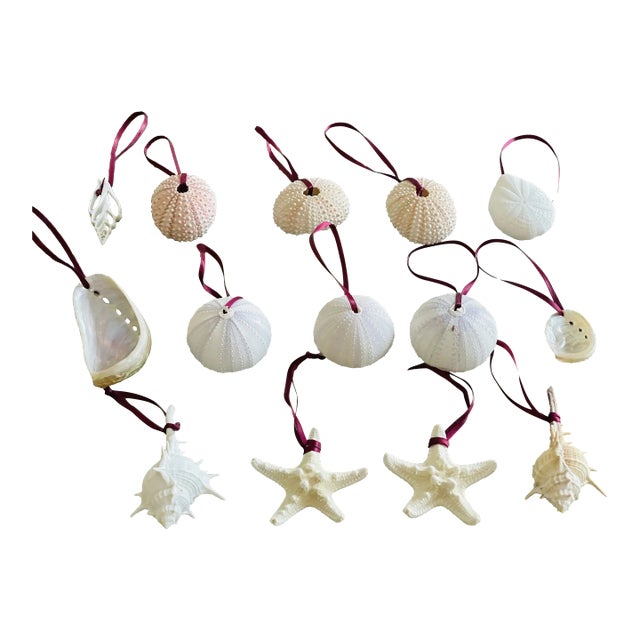 Vintage Boho Coastal Ornaments Sea Shells -14 For Sale