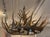Folk Art 1940s Folky Wooden Elk Horn Chandelier For Sale - Image 3 of 7