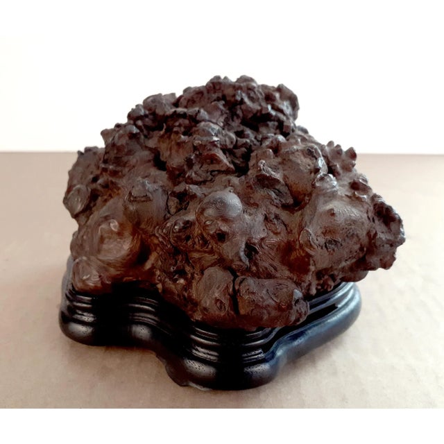 Chinese burlwood censer, in the form of a gongshi, a Chinese burlwood covered with numerous gnarled and knobby polished...