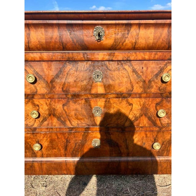 19th Century French Louis Philippe Burl Walnut Chest of Drawer / Commodes For Sale - Image 18 of 18
