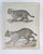 Mid 19th Century Us Pacifc Railroad Wild Cats Lithograph Book Plate For Sale - Image 4 of 4