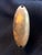 Fine Japanese Lacquered Inro by Yutokusai For Sale - Image 11 of 16