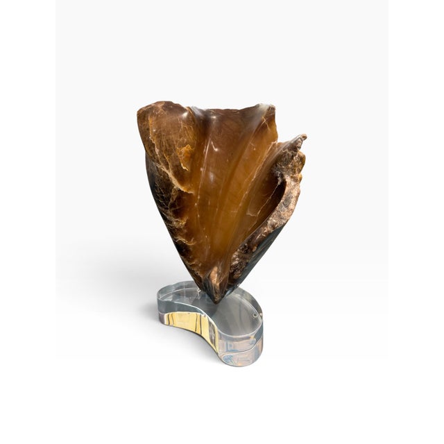 Mid-Century Modern Mid-Century Modern Signed Van Noorden Biomorphic Abstract Alabaster Sculpture on Lucite Base For Sale - Image 3 of 9