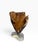 Mid-Century Modern Mid-Century Modern Signed Van Noorden Biomorphic Abstract Alabaster Sculpture on Lucite Base For Sale - Image 3 of 9