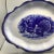 Flow Blue Wild Turkey Platter Made by George S. Harker and Company For Sale - Image 11 of 13