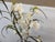 Silk Flower Arrangement of Orchids in Vase For Sale - Image 11 of 12
