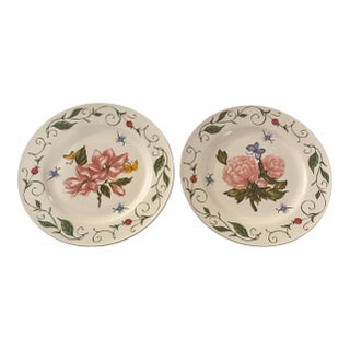 Vintage Botanical Garden Dinner Plates - A Pair For Sale