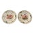 Vintage Botanical Garden Dinner Plates - A Pair For Sale
