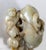 20th Century Chinese Qing Style Nephrite Jade Carving of Boys and Ram For Sale - Image 4 of 13