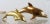Mid-Century Brass Dolphins, Set of 2 For Sale - Image 3 of 8
