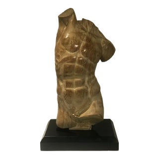 Wood Male Torso on Black Stand For Sale