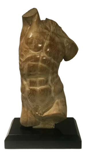 Wood Male Torso on Black Stand