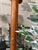 Sculptural Hooks Pine Wood Coat Rack, 1970s For Sale - Image 15 of 16