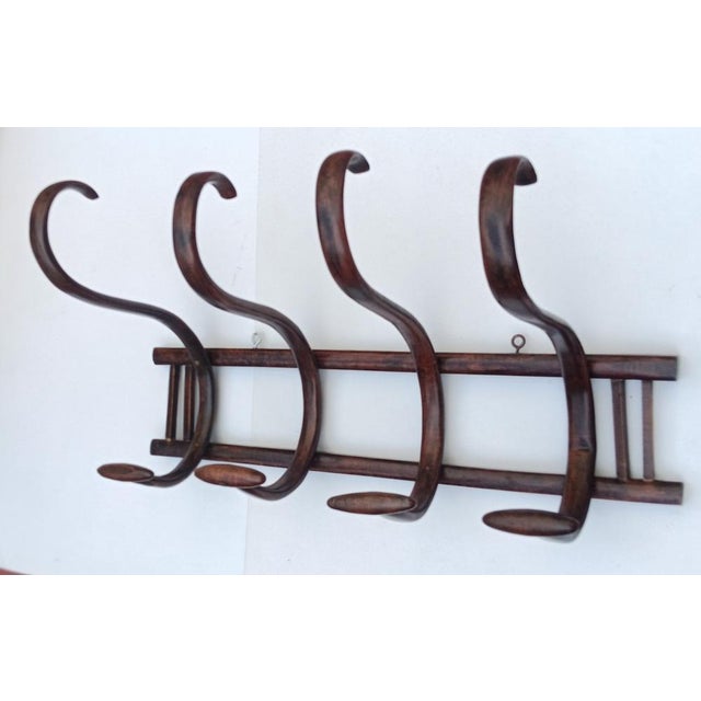Wall Coat Rack in Bentwood, 1950s For Sale - Image 9 of 9