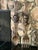 1960s Mid-Century Spanish Revival Oversized Hand-Carved Wood Fork & Spoon Wall Decor - Pair For Sale In Los Angeles - Image 6 of 8