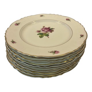 Early 20th Century Victoria Federal Syracuse China Dinner Plates - Set of 8 For Sale