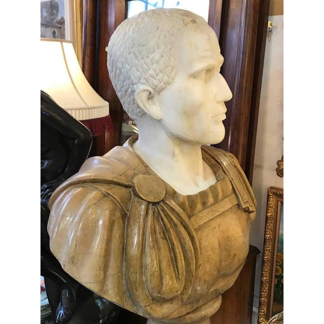 20th Century Marble Roman Bust For Sale - Image 4 of 6