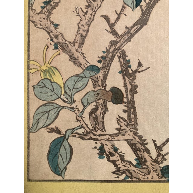 Nakayama Sūgakudō, Verdier Et Gardénia, 1859, Woodblock Print For Sale - Image 4 of 13