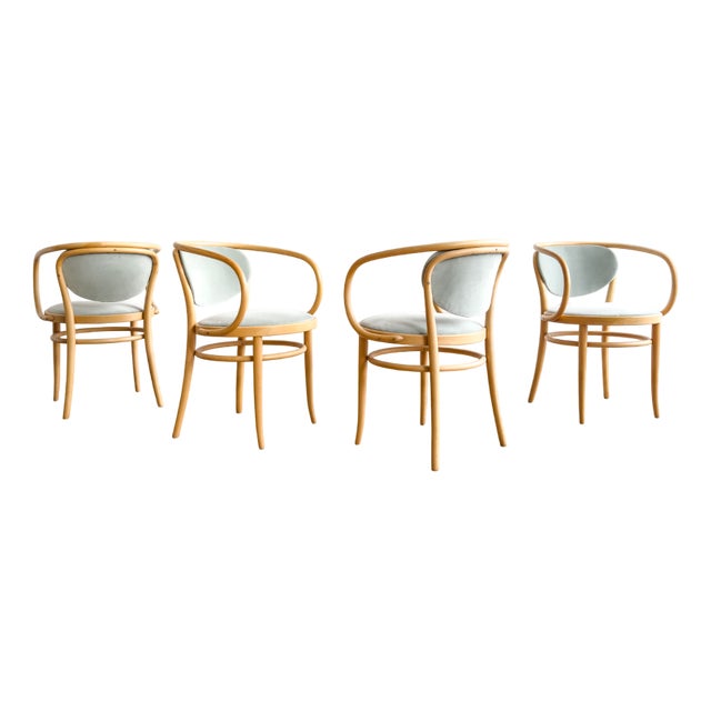210 P Bentwood Armchairs in Beech with Velvet in Sage Cover by Michael Thonet for Thonet, Germany, 1989, Set of 4 For Sale