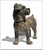 Ceramic 1940s Austrian Standing Terrier Dog Composition Lifesize Figural Sculpture For Sale - Image 7 of 12