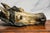 Amazing Rare Antique Austrian Cold Painted Bronze Horse Head Sculpture Desk Document Clip Equestrian Art Home Decor For Sale - Image 9 of 15