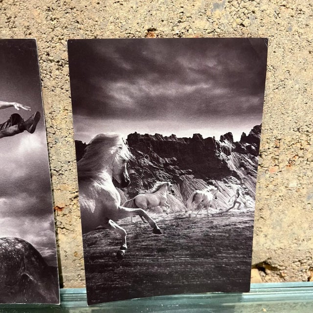 Black Vintage Cavalia Set of Five Post Card Prints Black and White Canada For Sale - Image 8 of 8