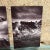Black Vintage Cavalia Set of Five Post Card Prints Black and White Canada For Sale - Image 8 of 8
