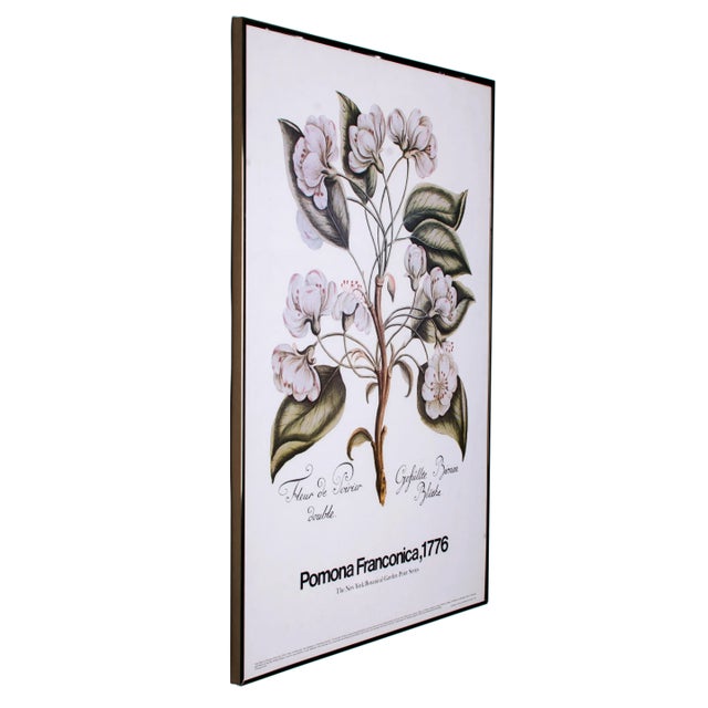 1970s The New York Botanical Garden Print Series Vintage Botanical Prints - set of 3 For Sale - Image 5 of 10