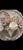 Coastal Alena Wall Plaque For Sale - Image 3 of 6