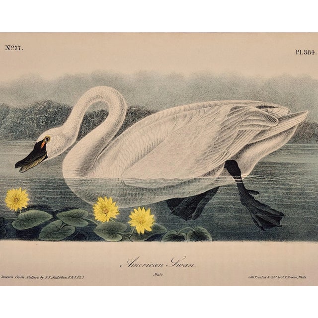 This is an original rare and extremely collectible 1st royal octavo edition John James Audubon hand-colored royal octavo...