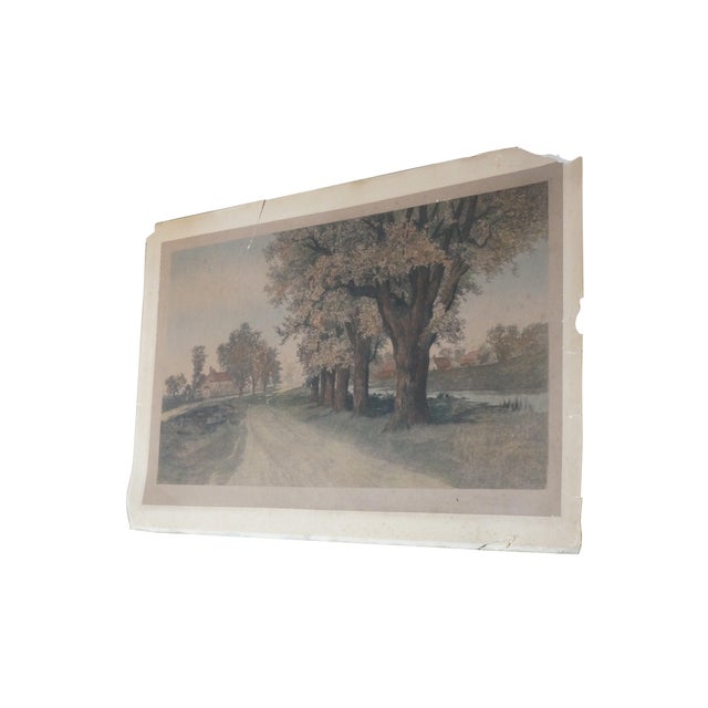 Realism Antique Ernest C Rost the Old Elm Road Colored Country Landscape Etching 30" For Sale - Image 3 of 13
