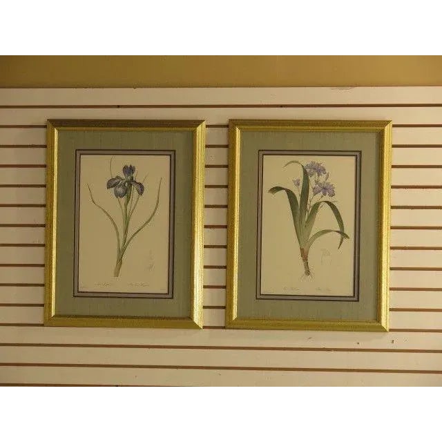 "Iris" Floral Decorative Framed & Matted Prints - a Pair For Sale - Image 10 of 10