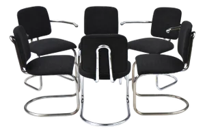 Vintage Chairs by Fritz August Breuhaus, 1930s, Set of 6