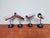 Tubular Chromed Metal Articulated Wall Lights by Staff Leuchten, Germany, 1970, Set of 2 For Sale - Image 14 of 18