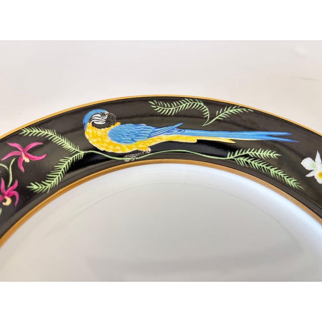 Lynn Chase “Jaguar Jungle” Porcelain Plates Set of 2 Animal Border With 24k Rim For Sale - Image 4 of 11