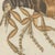 Paper Bertuch, Flea and Louse Under the Microscope, 1805, Print For Sale - Image 7 of 12