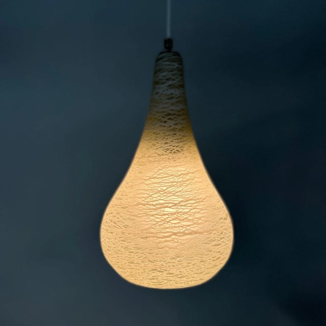 Satin Glass NB 99 E/00 Pendant Lamp from Philips, 1958 For Sale - Image 11 of 12
