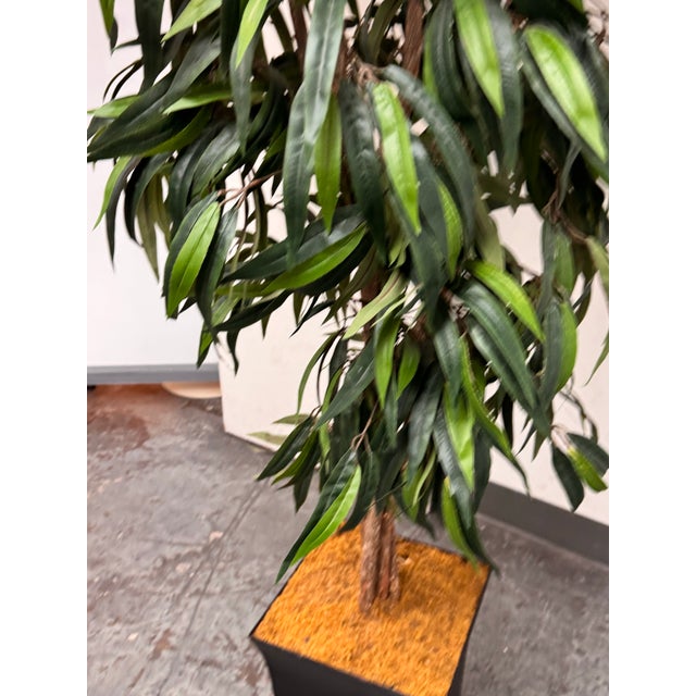 Faux Mango Tree + Tapered Black Planter For Sale - Image 9 of 12