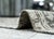 Gray Turkish Vintage Rug 7'11" x 11' #16726 For Sale - Image 8 of 8