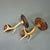 A Pair Great Black Forest Wall Sconces With Deer Antlers, Germany Ca. 1950 For Sale - Image 6 of 8