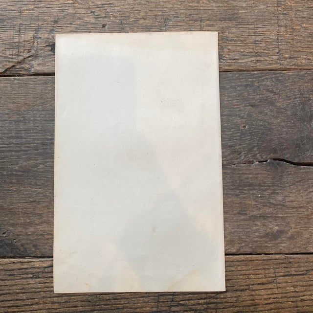 French Antique 18th Century "Le Antilope" Animal Engraving Hand Colored Signed Artwork For Sale - Image 9 of 9